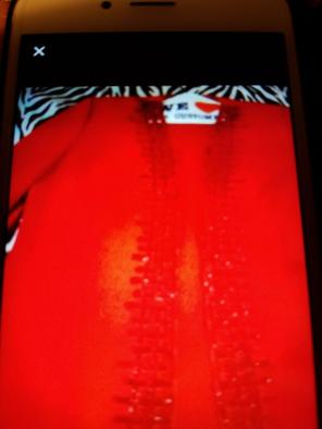 Moshita Couture Red Women Jacket/Skirt