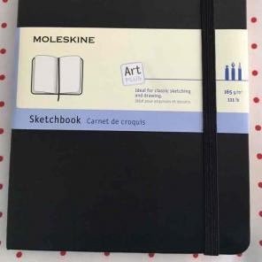 moleskine art plus sketch plus