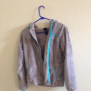 Gray Northface With Teal Lining
