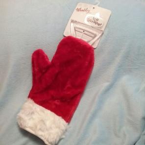 NEW Mitten Ice Scrapper