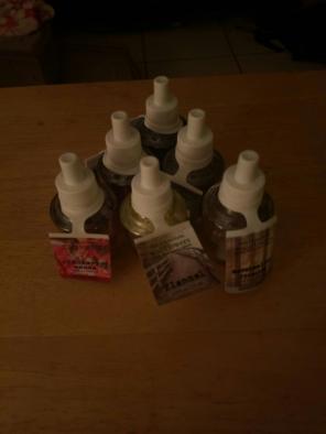 6 fall/winter BBW wallflower refills