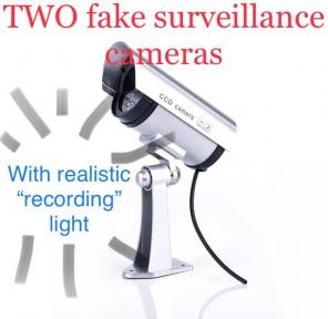 Dummy Property Protection Cameras Set