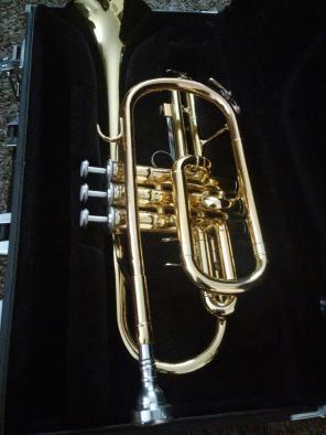 Yamaha cornet
