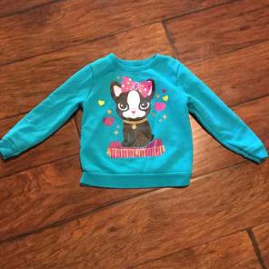 Cute toddler sweatshirt