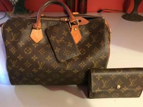 Louie Vuitton vintage purse and wallet