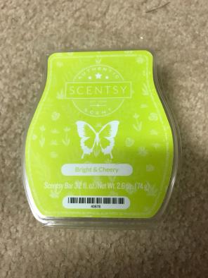 Bright & Cheery Scentsy Bar