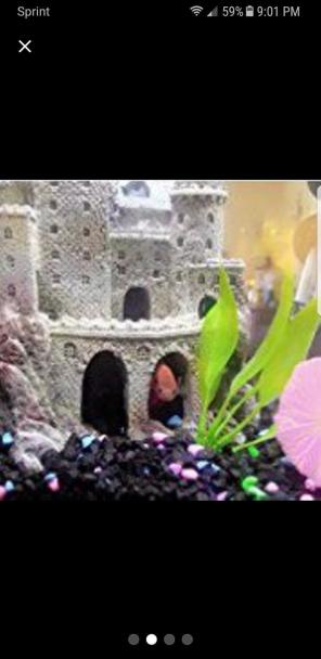 Castle