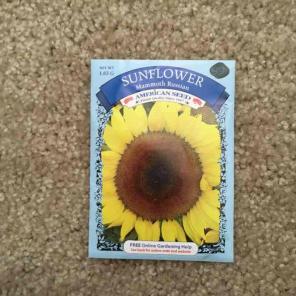 Sunflower seeds
