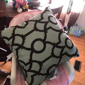Throw Pillow
