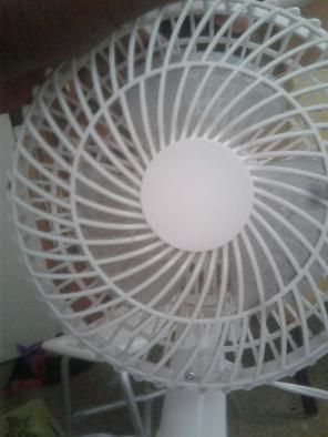 Fan