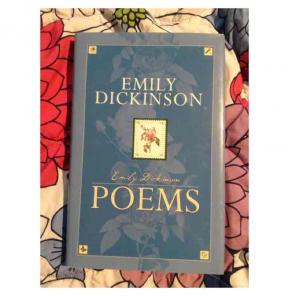 Emily Dickinson Poems