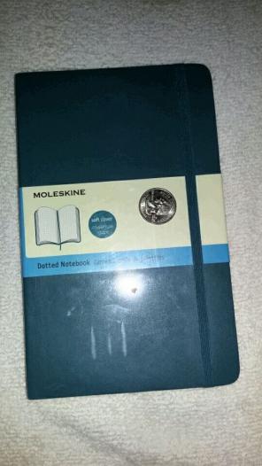 Moleskin Dot Journal