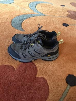 Timberland Hiking Shoe