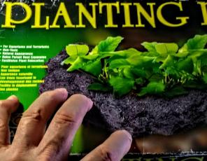 LARGE PLANTING ROCK aquariums terrariums