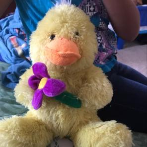 Duck