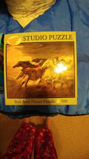 Studio Puzzle 500 pieces