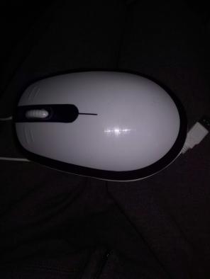 Large illuminated mouse usb