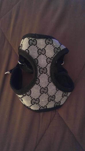 Dog harness