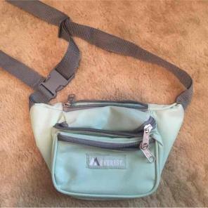 Teal fanny pack