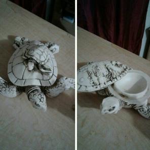 Turtle with Baby Turtle On Shell