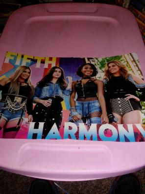 FIFTH HARMONY/SHAWN MENDES Centerfold!