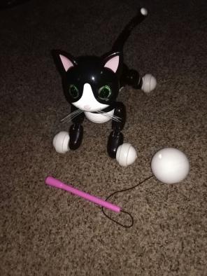 Zoomer kitty