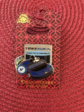 Disney Pin Test Track