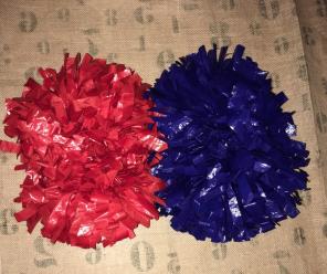 VARSITY Cheer Poms