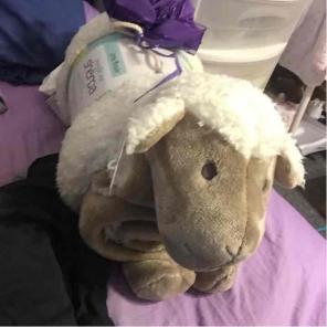 Sherpa Sheep Blanket/Pillow
