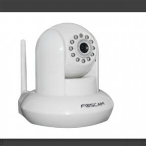 Wireless Pan & Tilt IP Network Camera