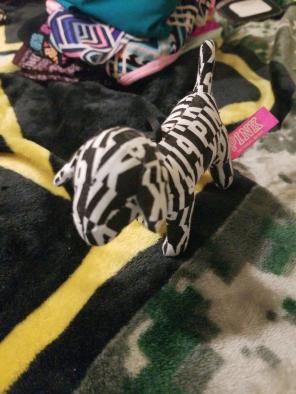 Victoria Secret Pink Dog Hanger