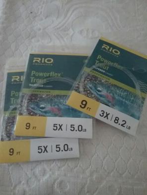 Rio: Powerful ex Trout Leaders