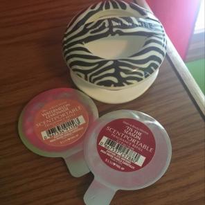 Reusable Car Freshener