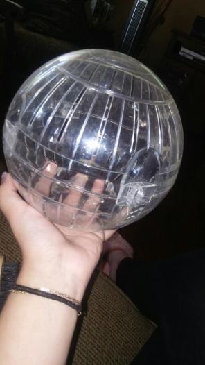 Hamster Ball