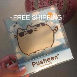 FreeShip Pusheen ice pack