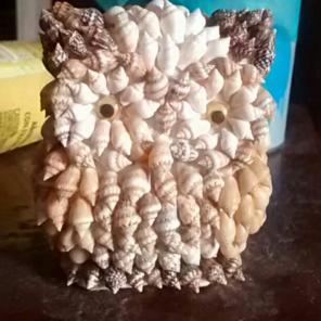Shell owl