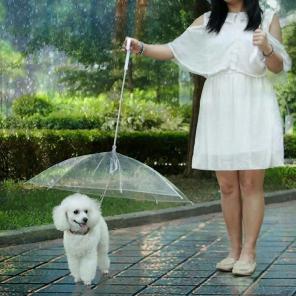 New Pet Umbrella With Leash