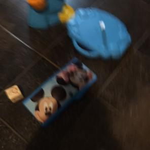 Mickey Bin