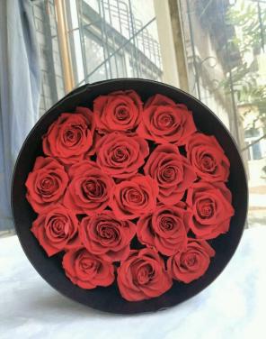 Forever Roses