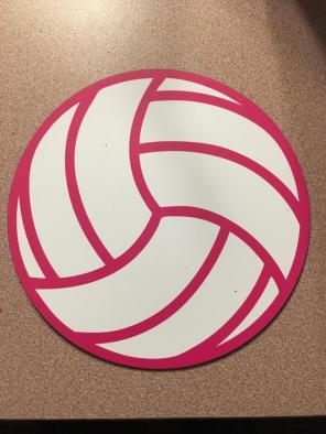 Pink Volleyball Car Magnet