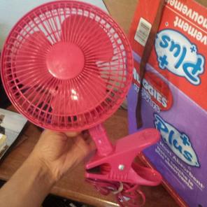 Small clip fan