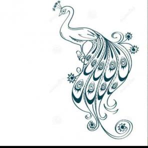 Peacock design