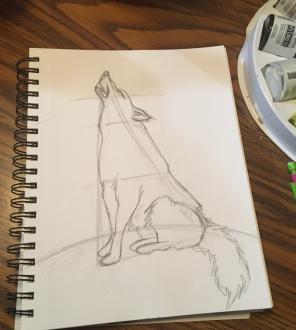 Wolf Sketch