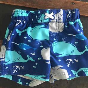 12 month swim shorts whales
