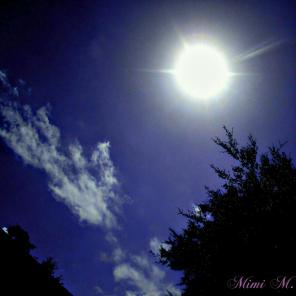 "Solar Eclipse 2017" print