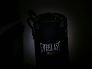 Everlast punching bag