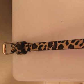 Girls leopard belt comes with free one!