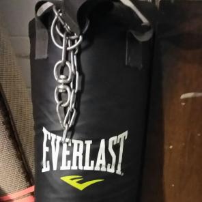 80lb Everlast punching bag