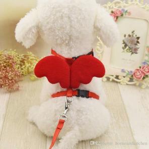 Red XS Pet Harness + Leash Angel Cat Dog