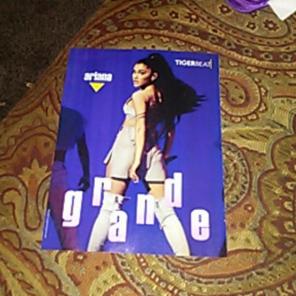ARIANA GRANDE 8x10 Pin-Up!